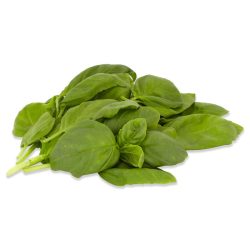 Basil