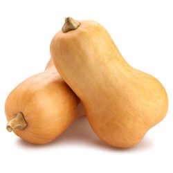 Butternut Squash