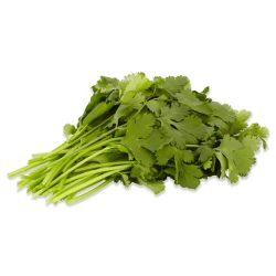Coriander