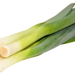 Leek