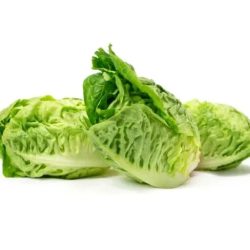 Lettuce: Little Gem (2)